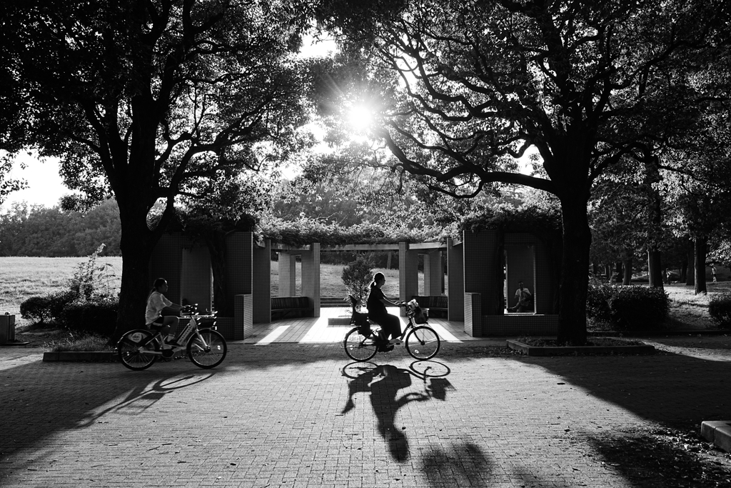 公園にて