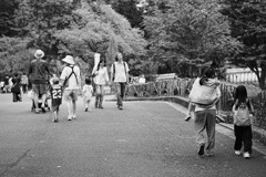 帰り道へ