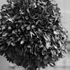 DSCF2765(2)