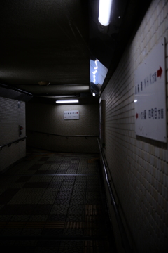 DSCF1215