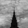DSCF7213