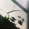 DSCF4394(1)