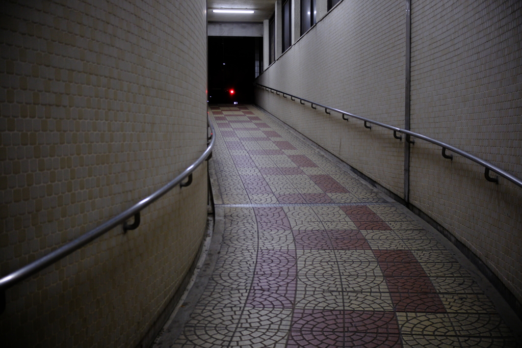 DSCF1208