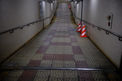 DSCF1207