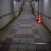 DSCF1207