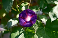 DSCF6202(1)