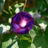 DSCF6202(1)