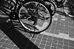DSCF6209