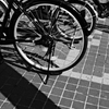 DSCF6209