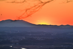 Nature’s Low-Battery Mode