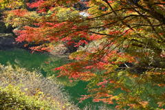 深山湖紅葉１