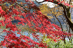 深山湖紅葉7