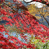 深山湖紅葉7