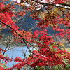 深山湖紅葉6