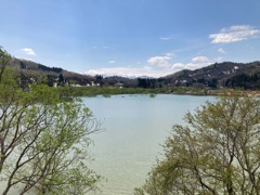白川湖の水没林と飯豊連峰