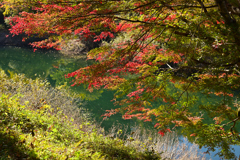 深山湖紅葉２