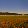 田圃夕暮２