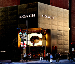 The Golden Touch of Ginza