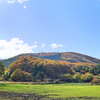 里山の紅葉