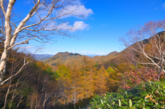 色付く午後の山