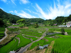井仁の棚田