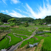井仁の棚田