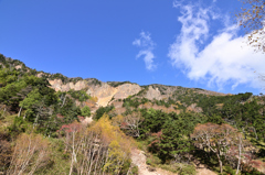 金精峠晩秋