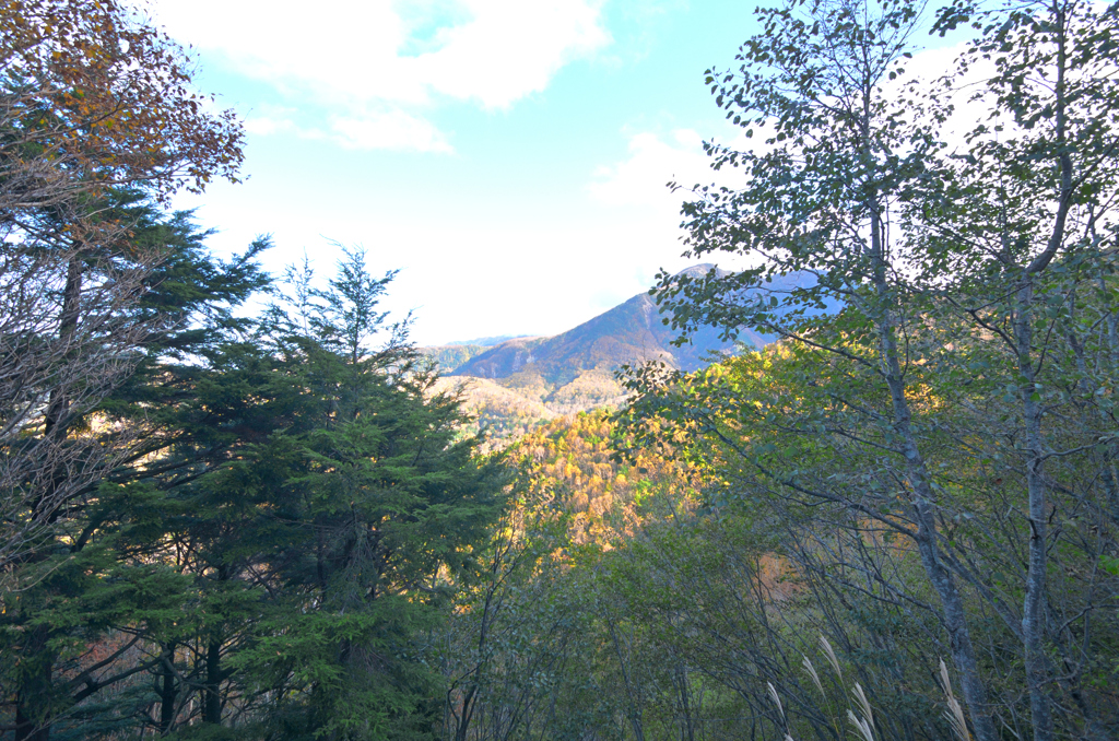 秋山の斜陽光