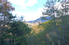 秋山の斜陽光