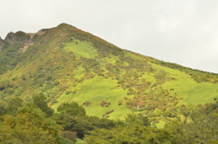 色付き始めた山