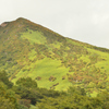 色付き始めた山