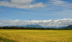 会津磐梯山