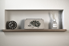 Cute Hedgehog Between Time and Scent