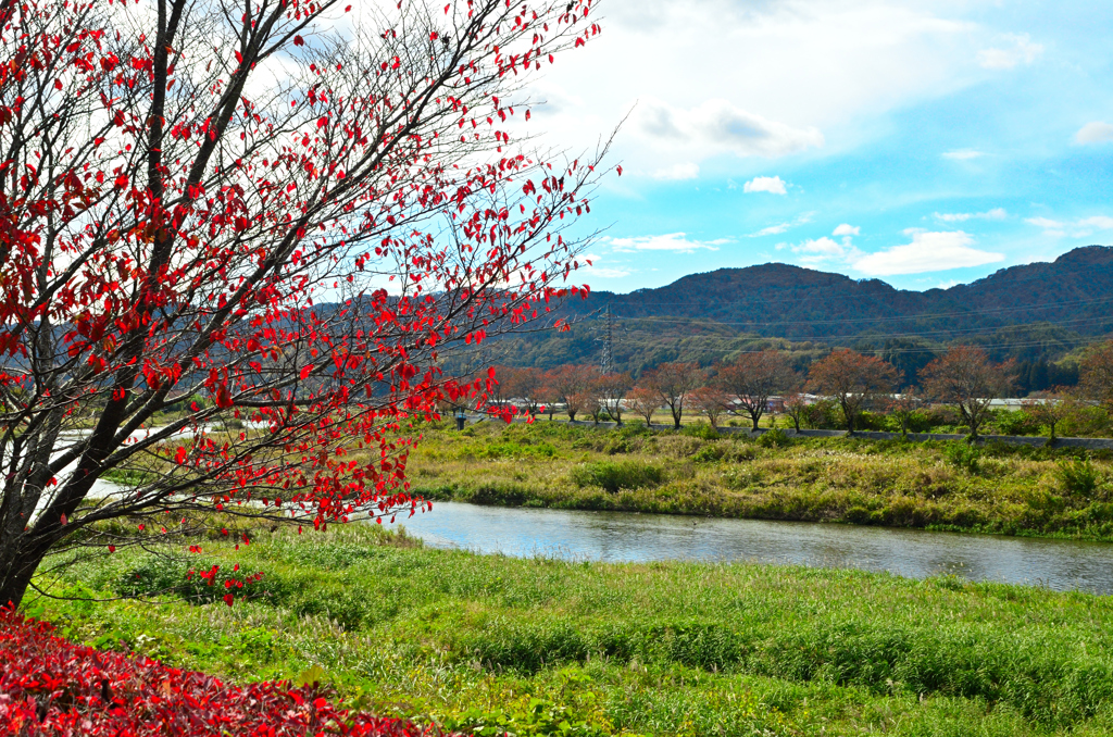 久慈川中流晩秋