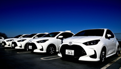 A "Yaris"-tic Symphony