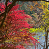 深山湖紅葉3