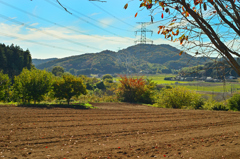 晩秋の里山１