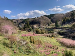 春山の風景