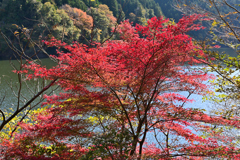 深山湖紅葉5