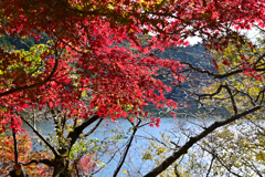深山湖紅葉4