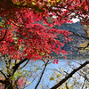 深山湖紅葉4