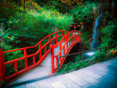 森と朱橋