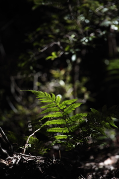 暖かな光を浴びて