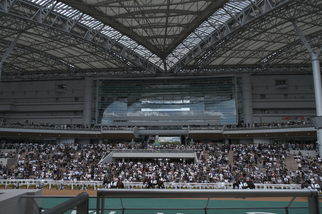 阪神競馬場