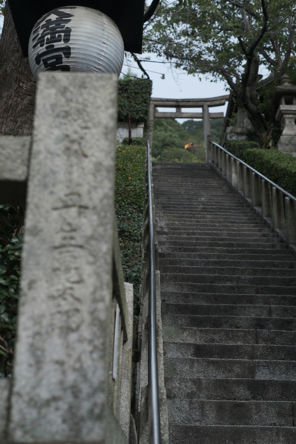 落ち葉（見えるかな）