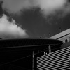 Osaka snap 2025.09