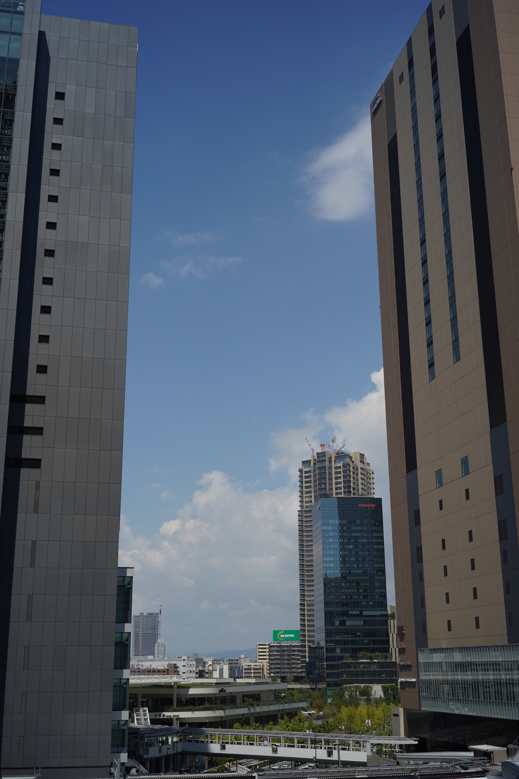 Osaka snap 2025.09