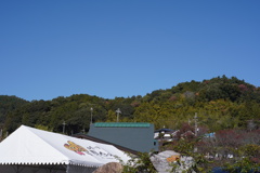 見山の郷’25.11.08-4