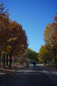 万博記念公園'25.11.29-2