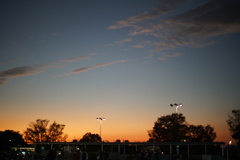 連休最終日'25.11.24-3